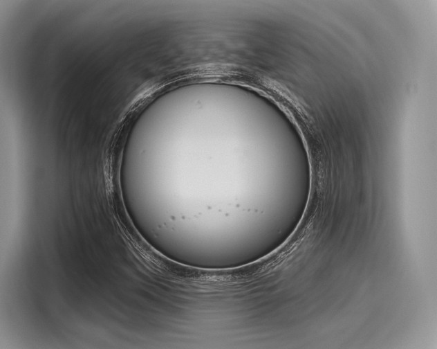 X0000116111451200911301113