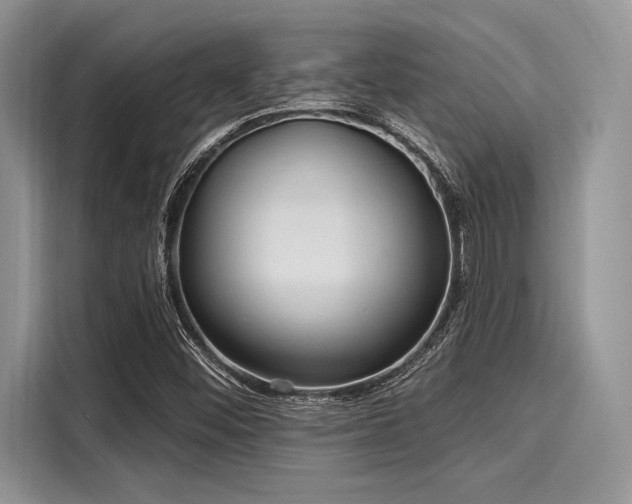 X0000116111452200911301113