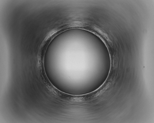 X0000116111453200911301113