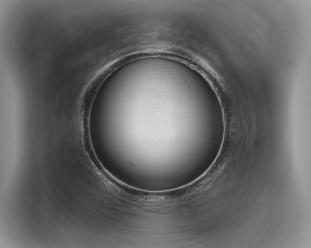 X0000116111456200911301113