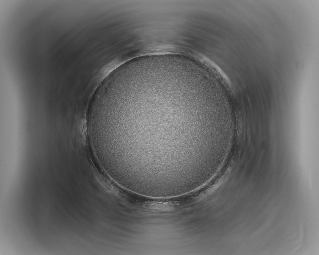 X0000116111457200911301113