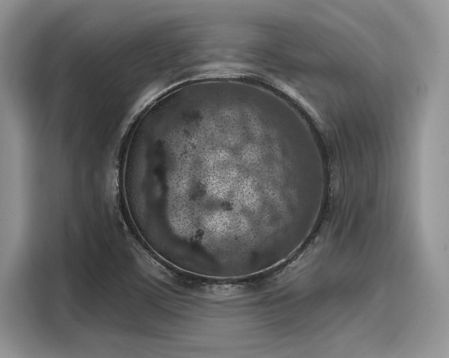 X0000116111459200911301113