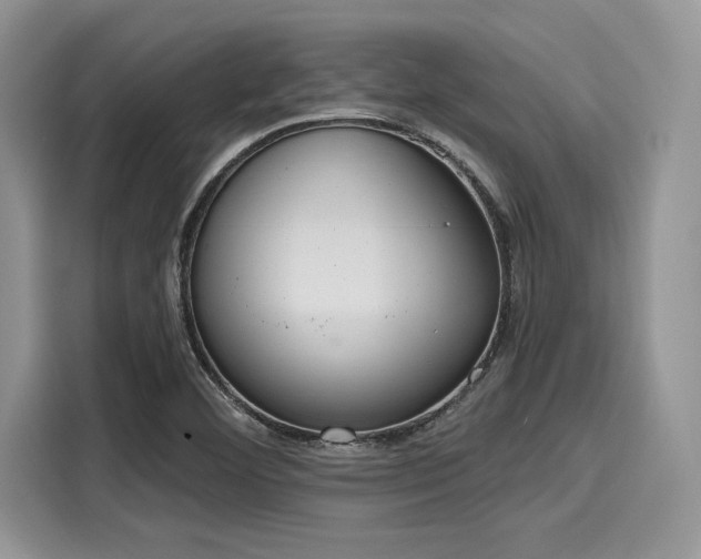 X0000116111460200911301113