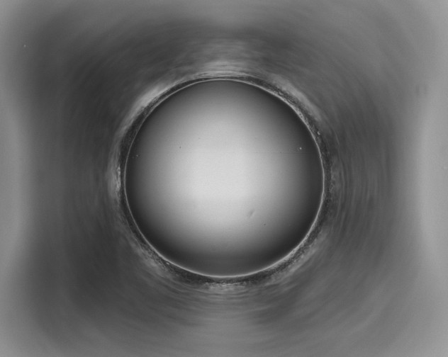 X0000116111461200911301113