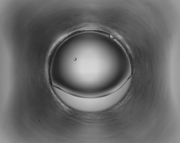 X0000116111464200911301113