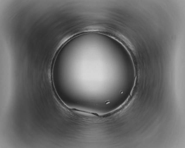 X0000116111465200911301113