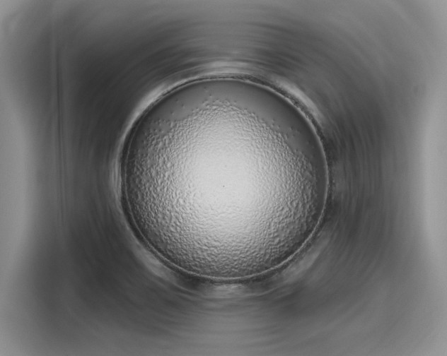 X0000116111467200911301113