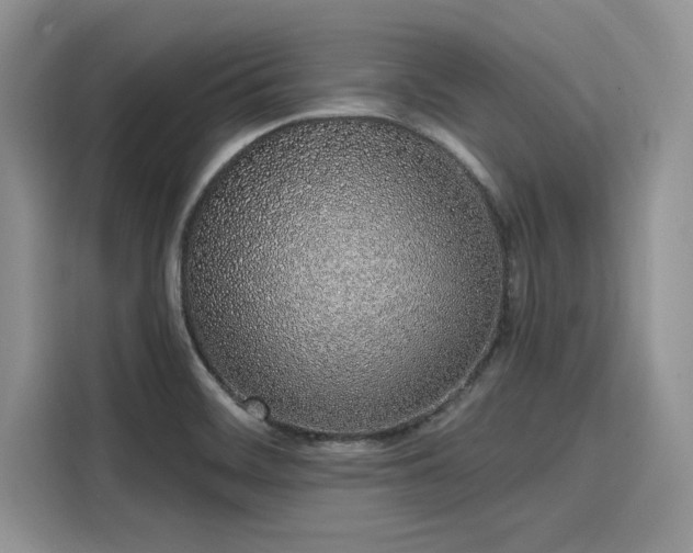 X0000116111468200911301113