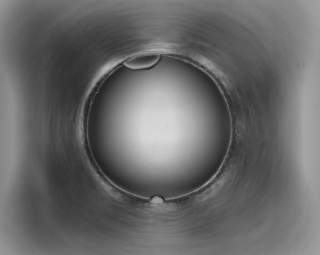 X0000116111469200911301113