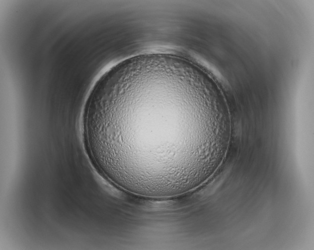 X0000116111471200911301113