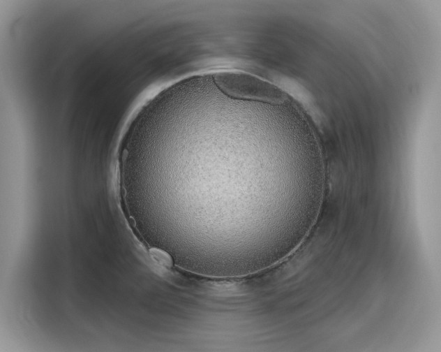 X0000116111472200911301113