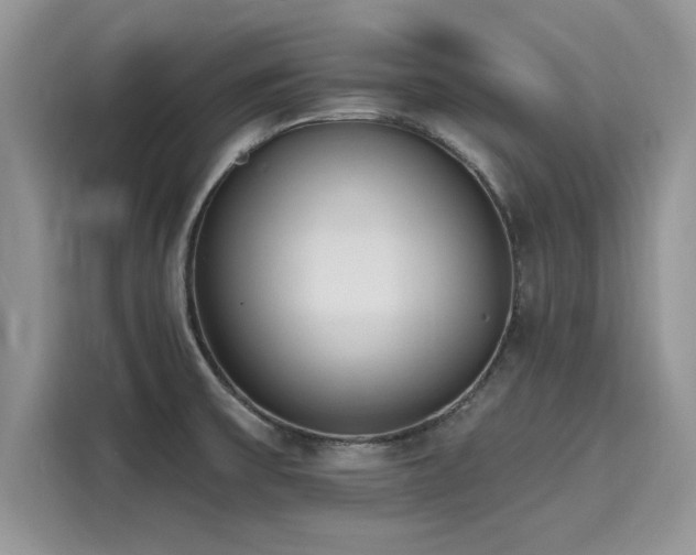 X0000116111475200911301113