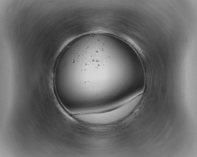 X0000116111476200911301113