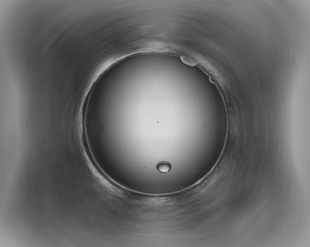 X0000116111479200911301113