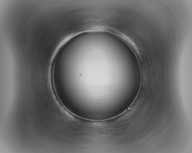 X0000116111480200911301113