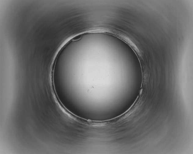 X0000116111484200911301113