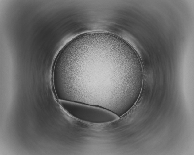 X0000116111485200911301113