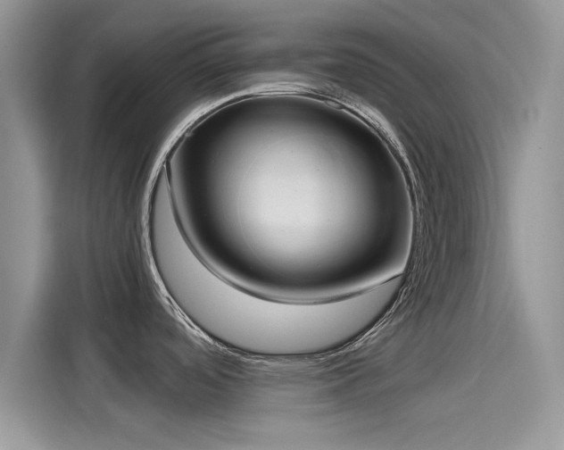 X0000116111488200911301113