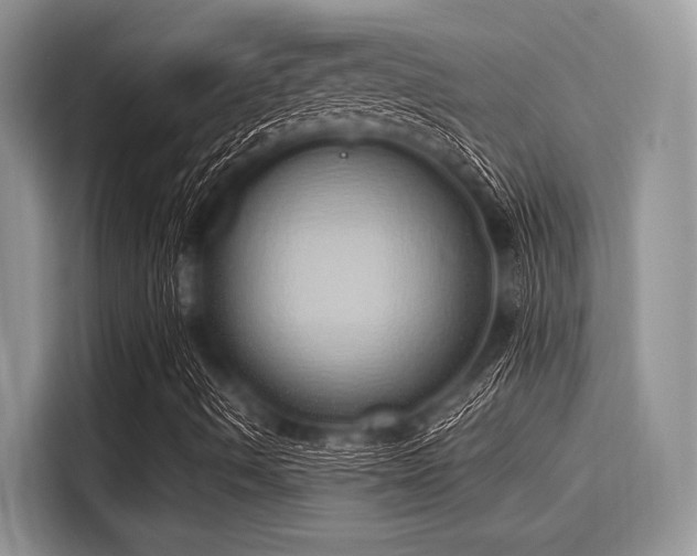 X0000116111490200911301112