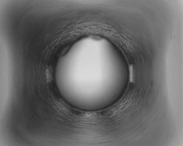 X0000116111491200911301112