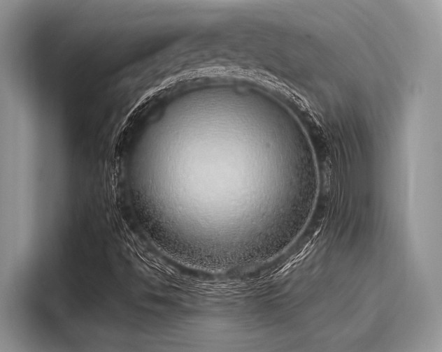 X0000116111494200911301112