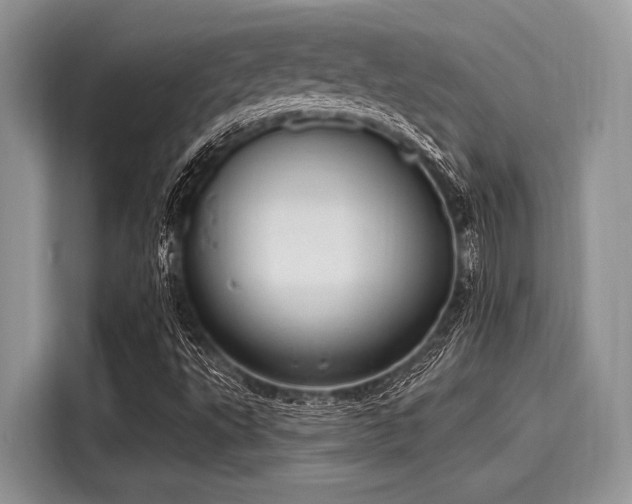 X0000116111495200911301112