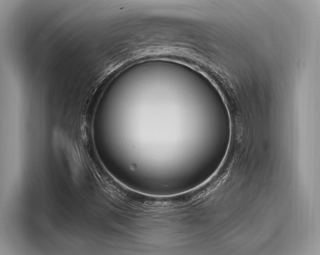 X0000116111497200911301112