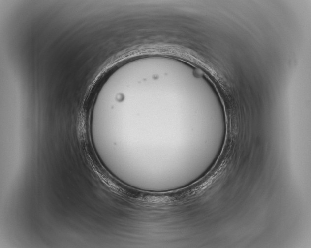 X0000116111498200911301112