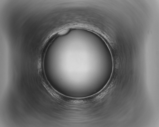 X0000116111499200911301112