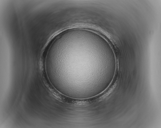 X0000116111501200911301112