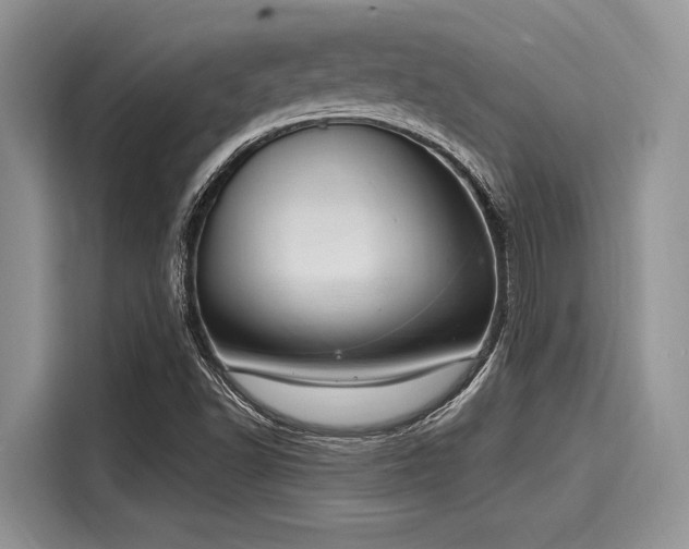 X0000116111502200911301112