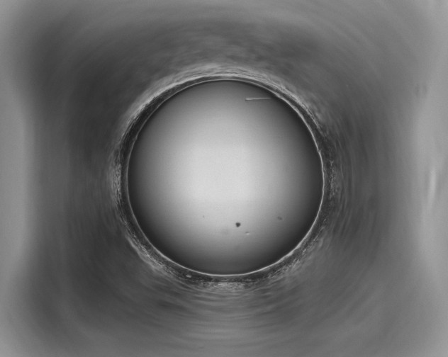 X0000116111503200911301112