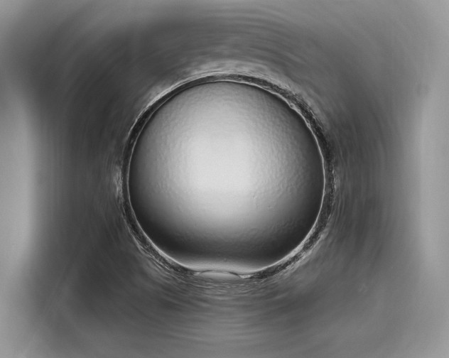 X0000116111505200911301112