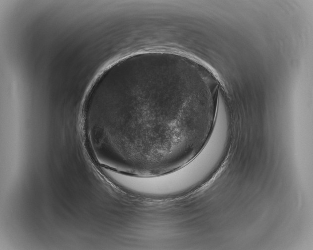 X0000116111506200911301112