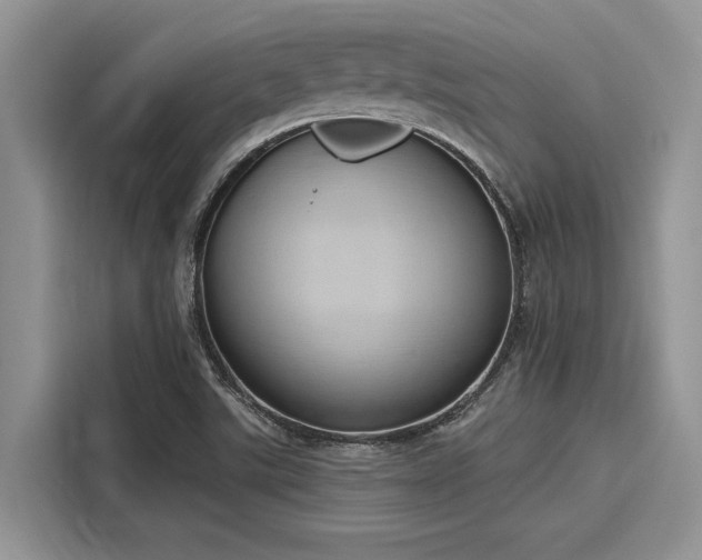 X0000116111507200911301112