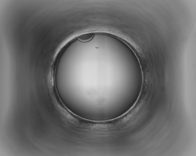 X0000116111510200911301112