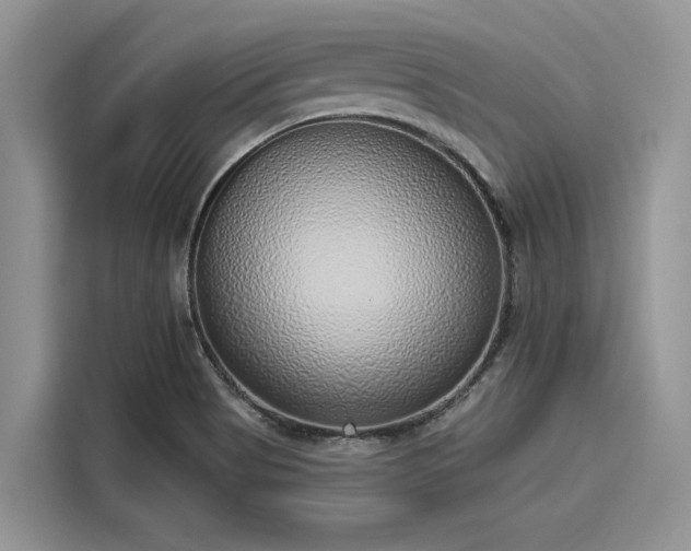 X0000116111513200911301112