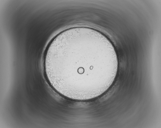 X0000116111514200911301112