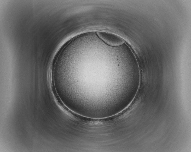 X0000116111515200911301112