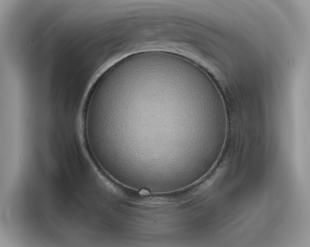 X0000116111517200911301112