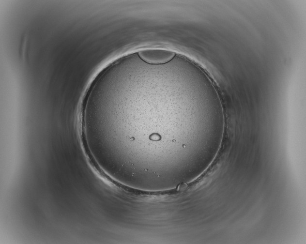 X0000116111519200911301112