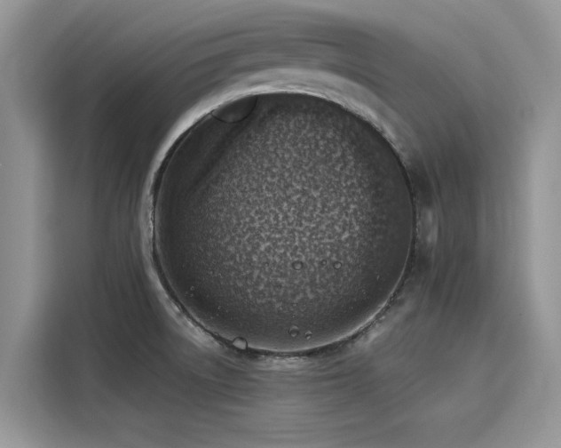 X0000116111522200911301113