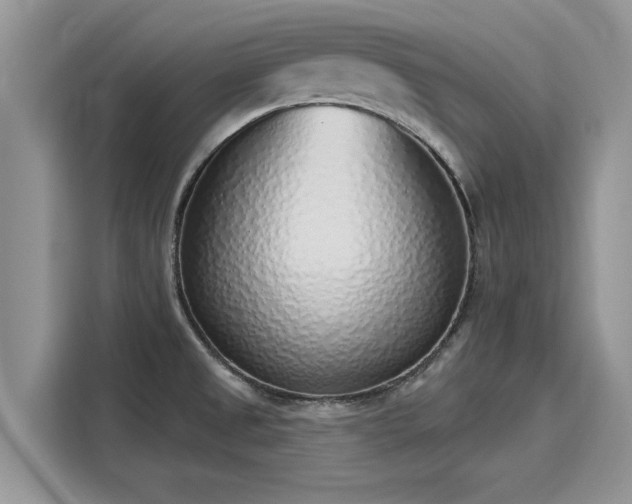 X0000116111525200911301113