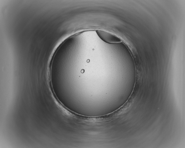 X0000116111527200911301113