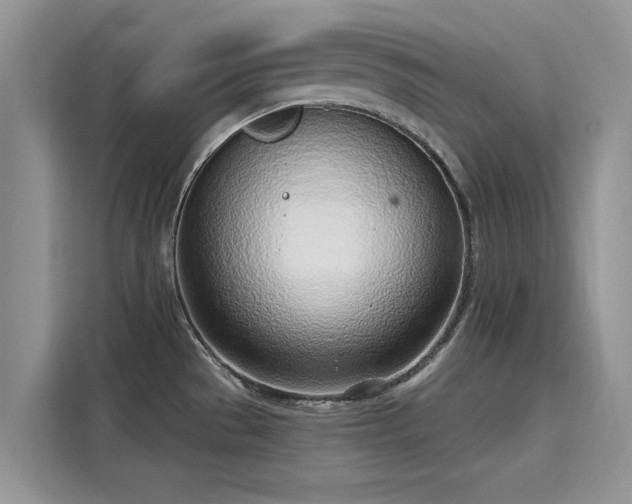 X0000116111529200911301113