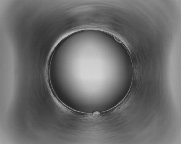 X0000116111531200911301113