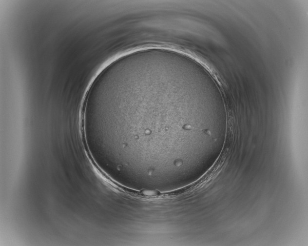 X0000116111535200911301113