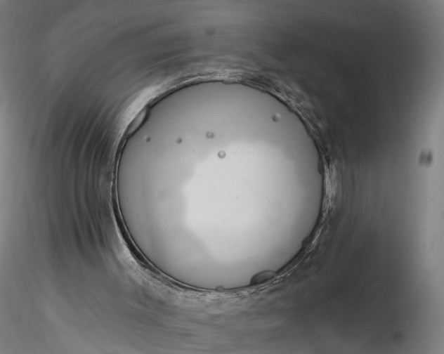 X0000116110003200912071333