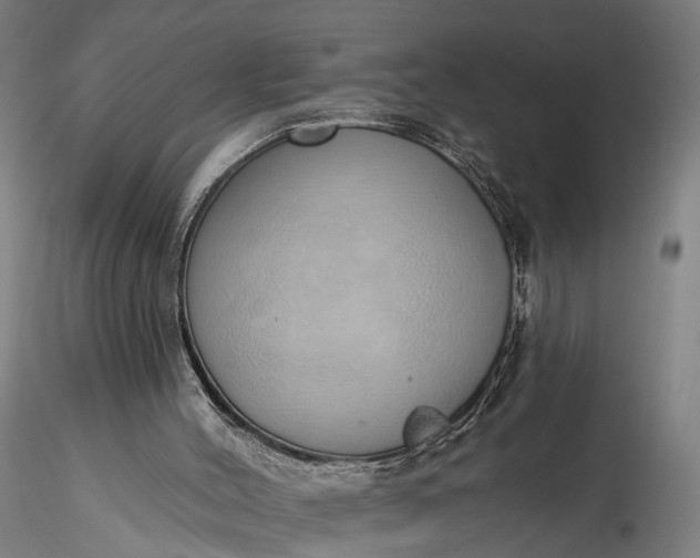 X0000116110004200912071333