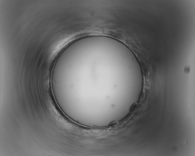 X0000116110005200912071333